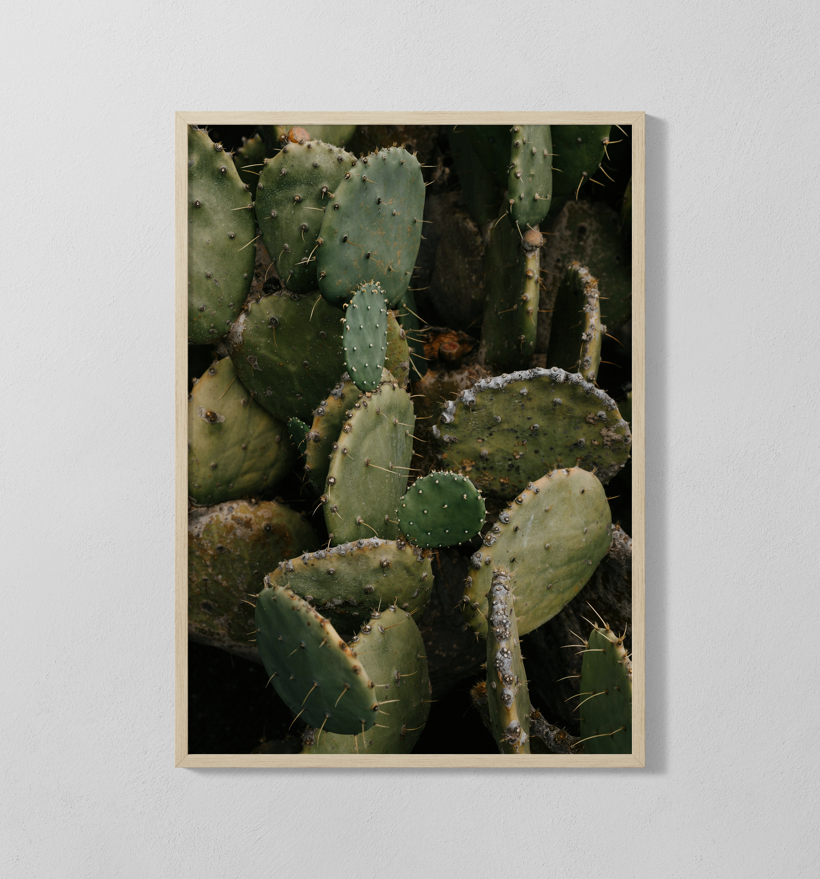 Kaktus | Poster